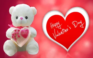 White Teddy Bear Happy Valentines Day Hd Wallpaper