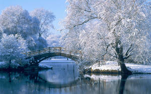 White Winter Bridge Wallpaper