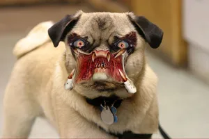 Who's Laughing Now?! Wallpaper