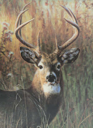 Wild Buck In Nature Wallpaper