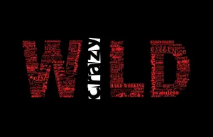 Wild Dark 4k Wallpaper