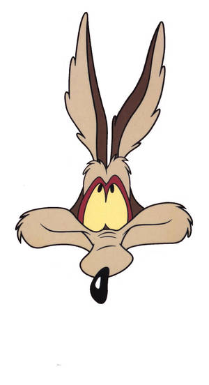 Wile E Coyote's Head In White Wallpaper