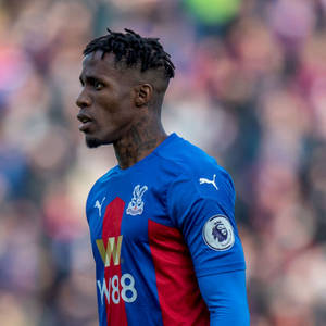 Wilfried Zaha Side Profile Wallpaper