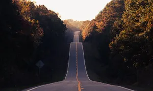 Winding Pathways Ahead Wallpaper