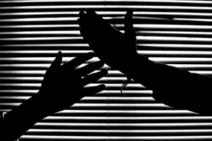Window Blind Silhoutte Wallpaper
