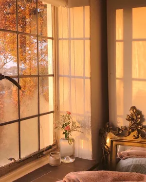 Window Morning Sunlight Wallpaper