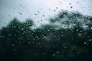 Window Water Droplets Wallpaper