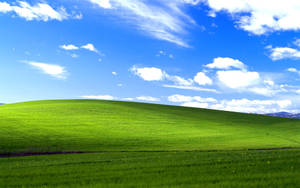 Windows 10 Default Wallpaper