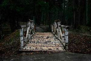 Windows 11 4k Old Wooden Bridge Wallpaper