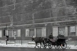 Windows Winter And Carriage Wallpaper