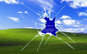 Windows Xp: An Enduring Legacy Wallpaper