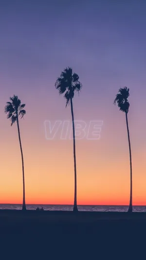 Windy Sunset Summer Vibes Wallpaper
