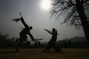 Wing Chun Fighting Art Shadow Wallpaper