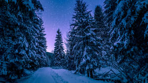 Winter Aesthetic At Night Wallpaper