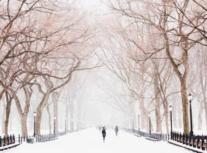 Winter Central Park New York Computer Wallpaper