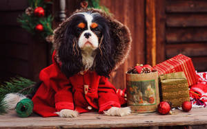 Winter Christmas Dog Wallpaper