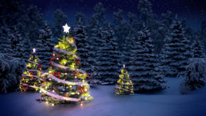 Winter Christmas Trio Trees Wallpaper