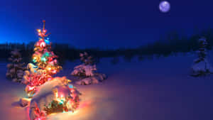 Winter Colorful Christmas Tree Desktop Wallpaper