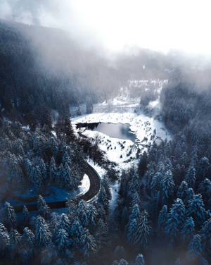 Winter Forest And Lake Wallpaper