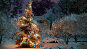 Winter Holiday Desktop Christmas Tree With Colorful Lights Wallpaper