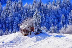 Winter House On Snow Wallpaper