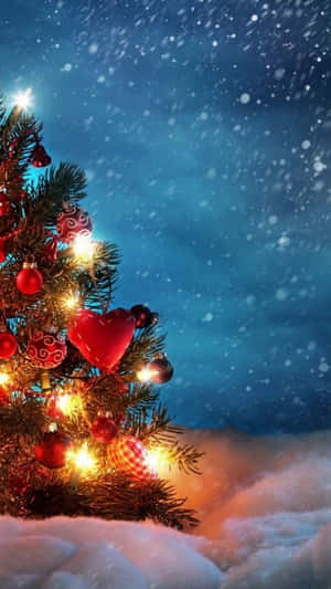 Winter Iphone 6 Plus Christmas Tree Wallpaper