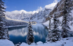 Winter Landscape Hd Desktop Wallpaper