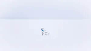 Winter Landscape With Bare Trees Wallpaper