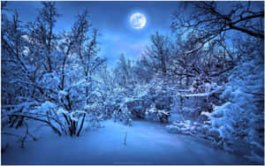 Winter Night Desktop With A Full Moon Wallpaper