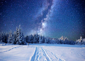 Winter Northern Sky Wallpaper