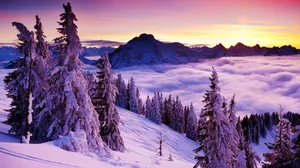 Winter Scene Sea Of Fog Wallpaper