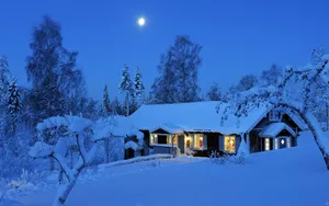 Winter Season Lit Home Wallpaper