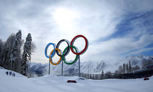 Winter Season Olympics Wallpaper