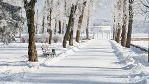 Winter Season White Marble Gazebo Wallpaper