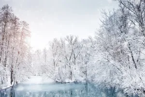 Winter Wonderland - A Glittery Scene Of Beauty Wallpaper