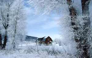 Winter Wonderland Wallpaper