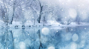 Winter Wonderland Wallpaper