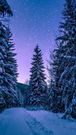 Winter Wonderland Through The Phone Lens Wallpaper