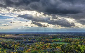 Wisconsin Forest Wallpaper