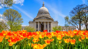 Wisconsin State Capitol In Madison Is Framed Wallpaper