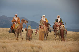 Wise Men With Three Camels Wallpaper