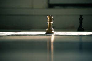 Wise White And Black Chess Pieces Wallpaper