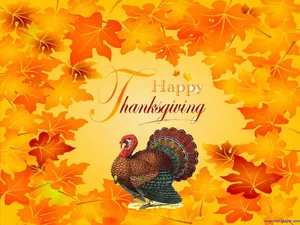 Wishing You A Happy Thanksgiving With A Roasted Turkey! Wallpaper
