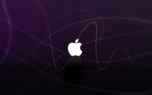 With A Range Of Vibrant Colors, The Latest Apple Product Is Sure To Brighten Any Day. Wallpaper