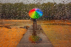 Witness The Soothing Beauty Of Rain Wallpaper