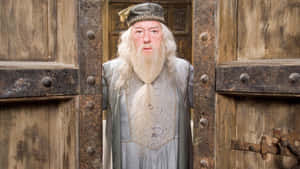 Wizard Character Wooden Doorway Wallpaper