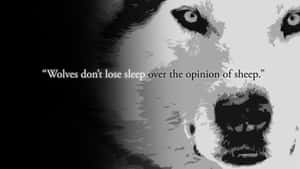 Wolf Quote Monochrome Artwork Wallpaper