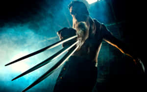Wolverine In Battle Wallpaper
