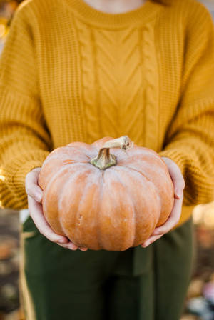 Woman Holds Pumpkin Wallpaper