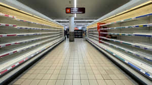 Woman Shopping Online On Her Laptop Wallpaper